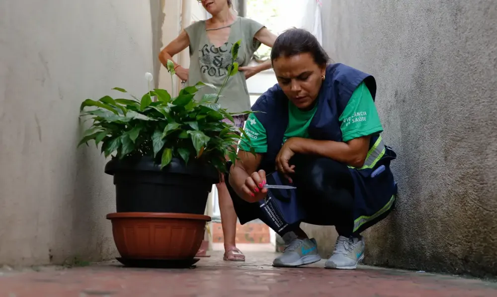 BRASIL SE APROXIMA DE 5 MIL MORTES POR DENGUE EM 2024