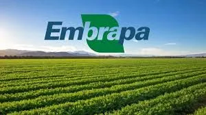 EMBRAPA PRORROGA PERÍODO DE INSCRIÇÕES PARA O CONCURSO PÚBLICO