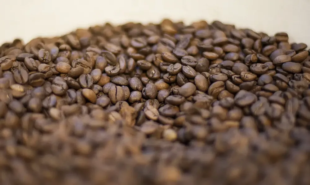 MELISSA, PINGO PRETO E OFICIAL: GOVERNO RECOLHE LOTES DE CAFÉ IMPRÓPRIOS AO CONSUMO HUMANO